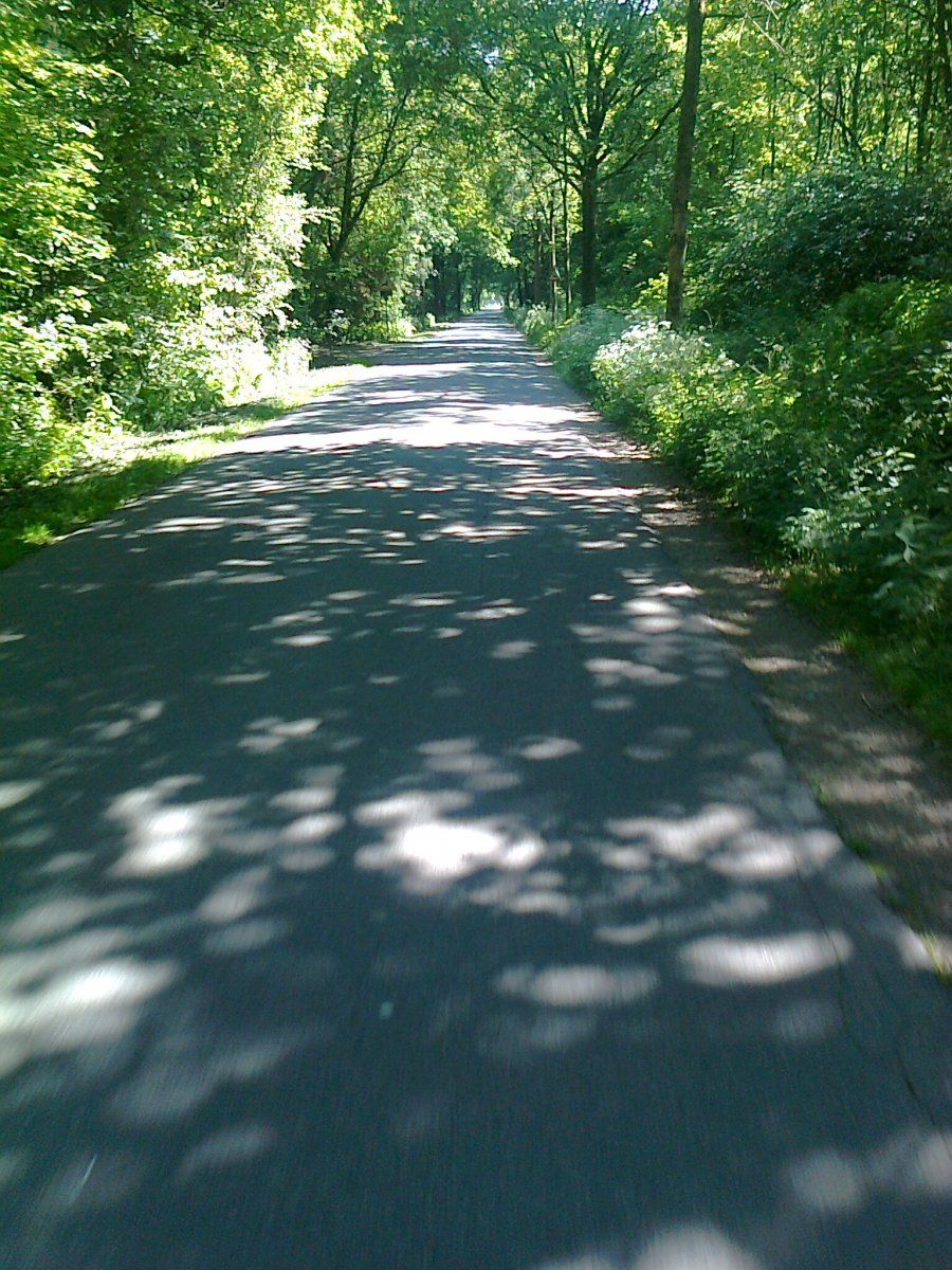 Foto0068.jpg