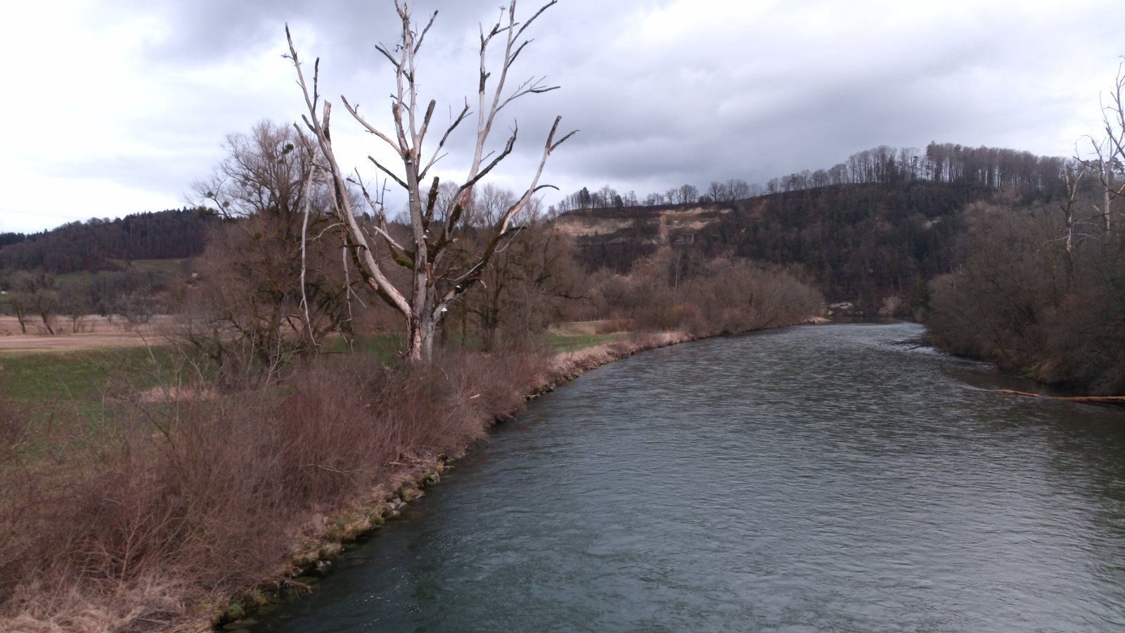 Fotor_158212687579495[1].jpg