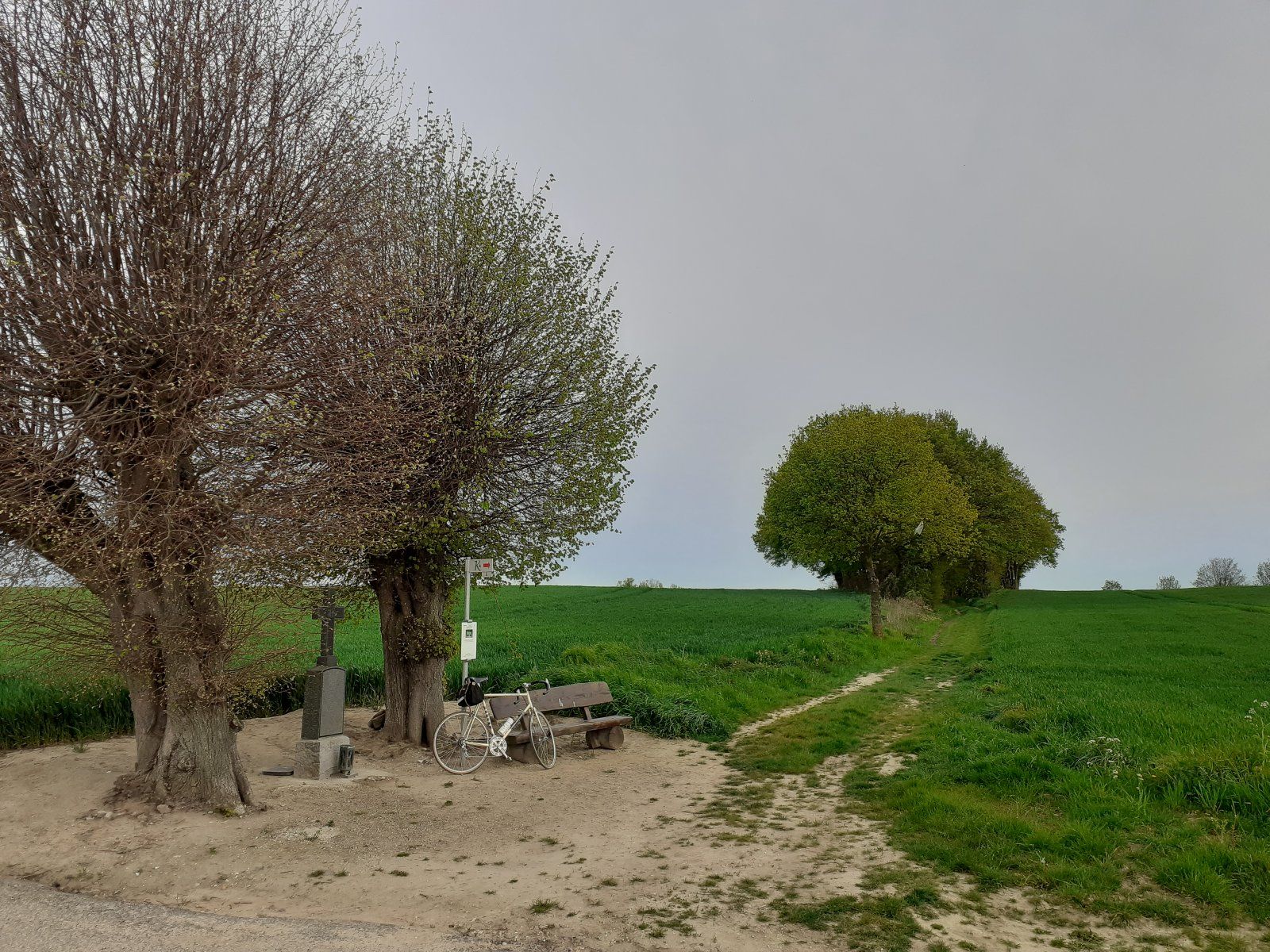 Frühling am Wegekreuz.jpg