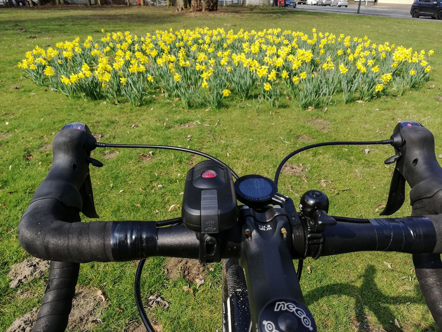 Frühling.jpg