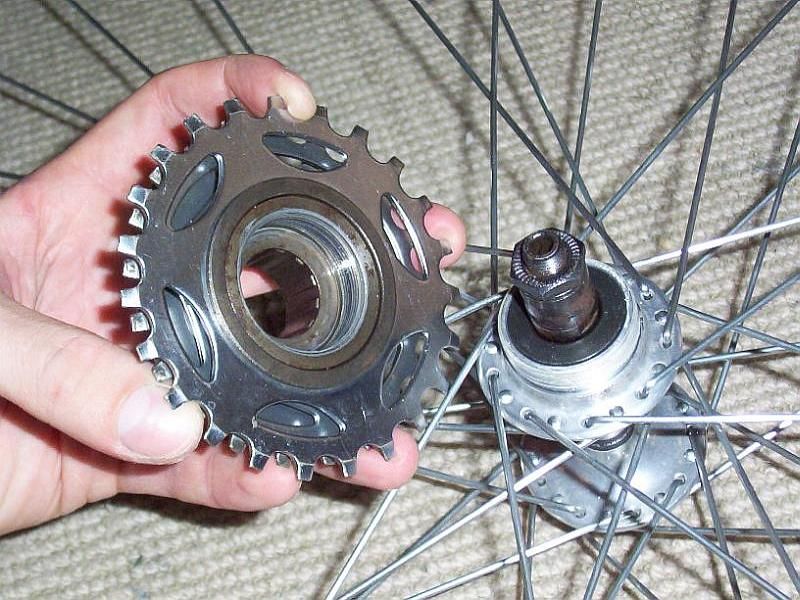 Freewheelandhub.jpg