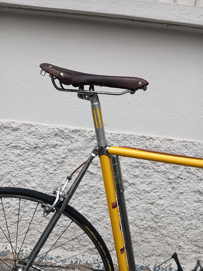 Freschi 5.jpeg