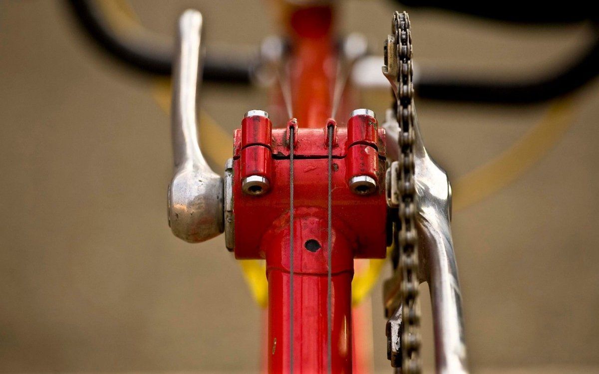 freschi tandem 10.jpg