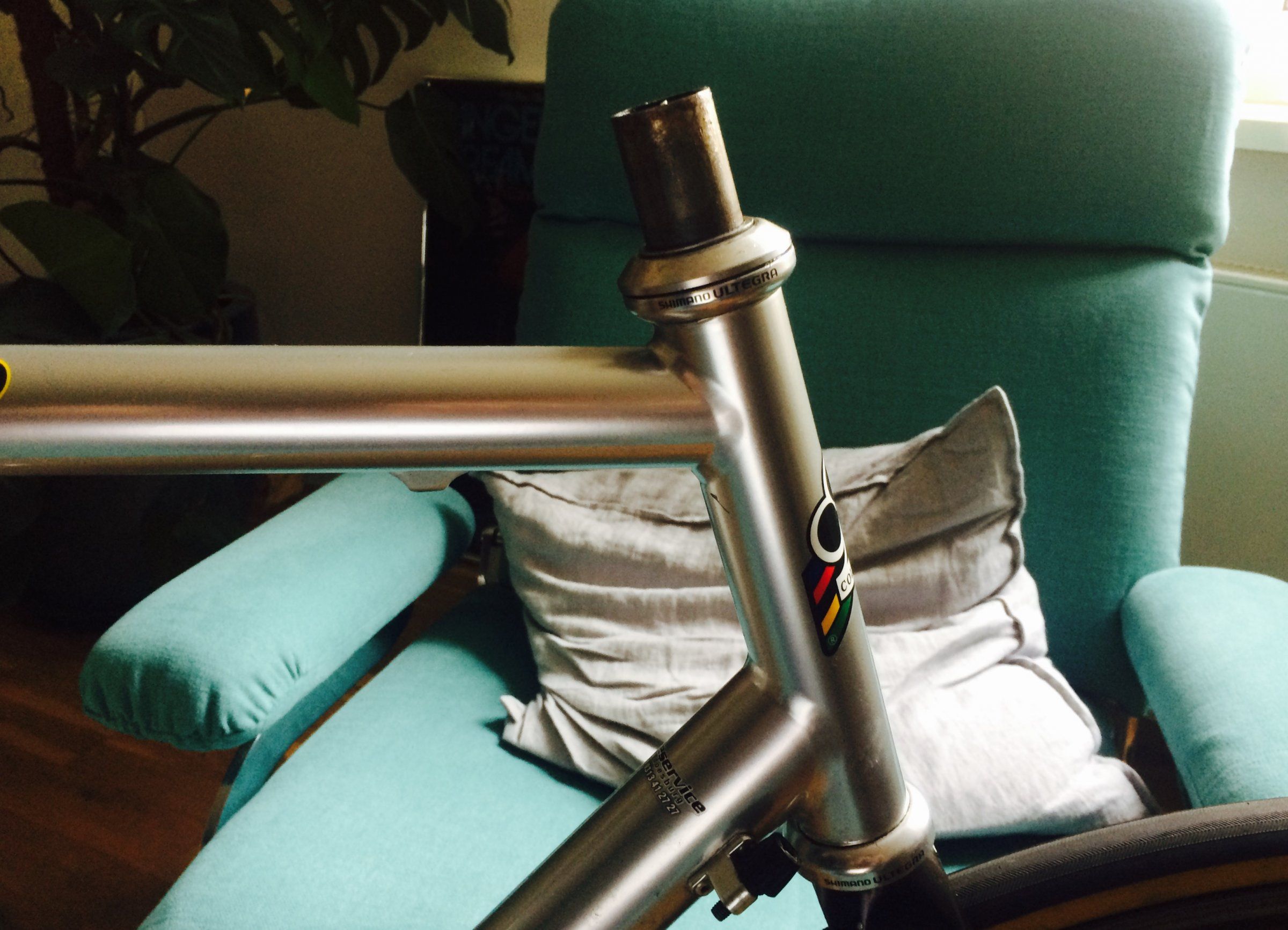 FullSizeRender 7.jpg