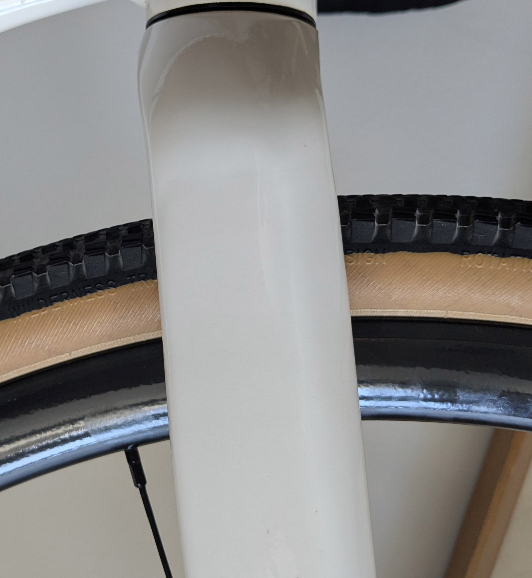 Gabelkrone.jpg Gabelkrone.jpg