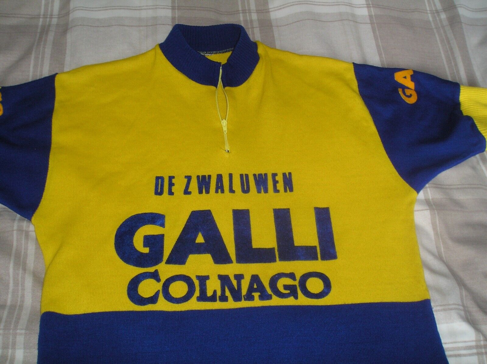 Galli Colnago De Zwaluwen Jersey maglia eroica 2.jpg