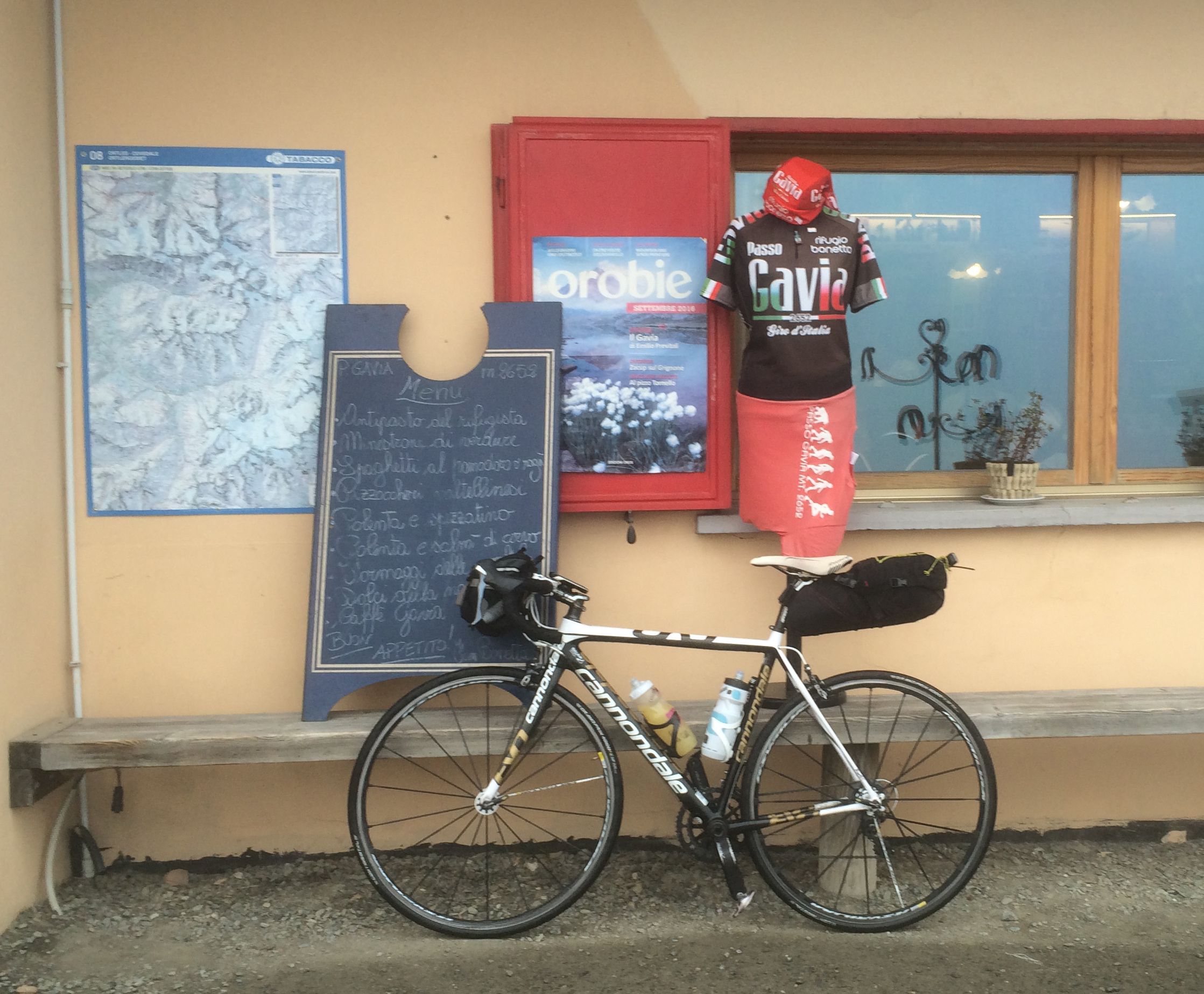 Gavia.JPG