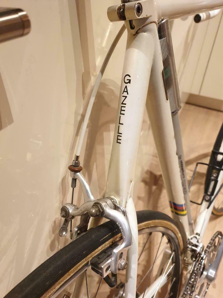 gazelle-02.JPG