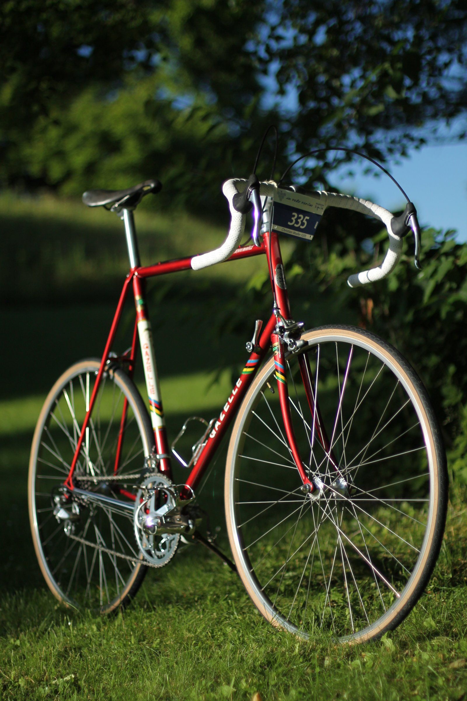 Gazelle 13.jpg
