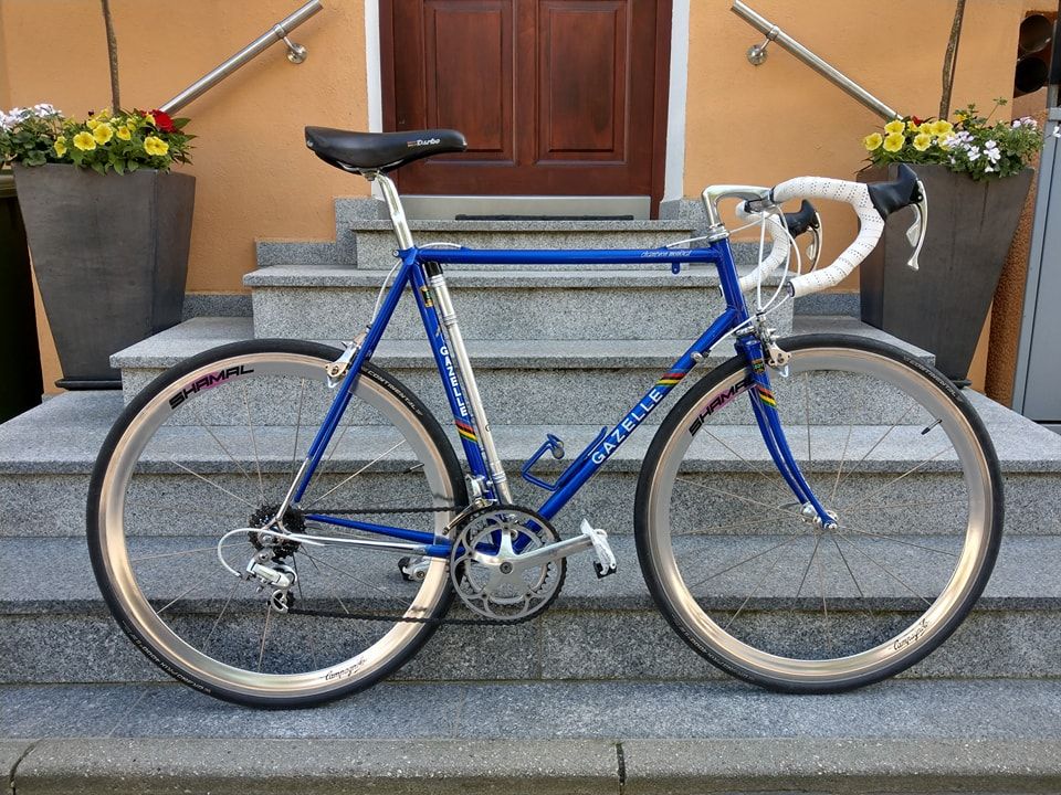 Gazelle Champion Mondial 1.jpg