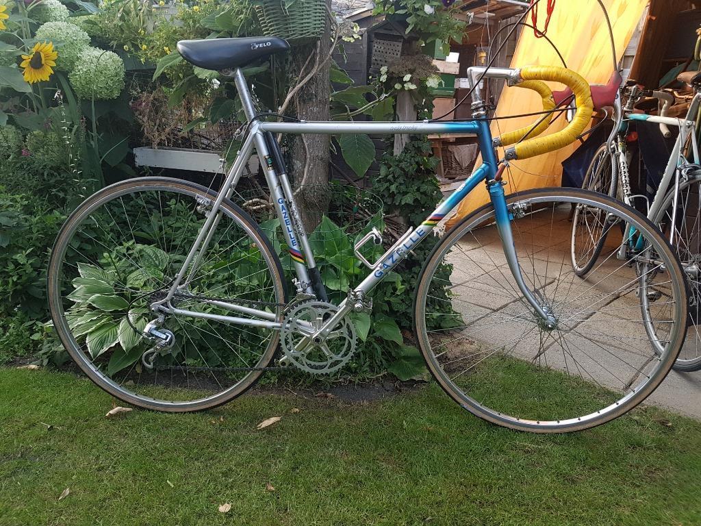 gazelle-cross-trophy.jpg
