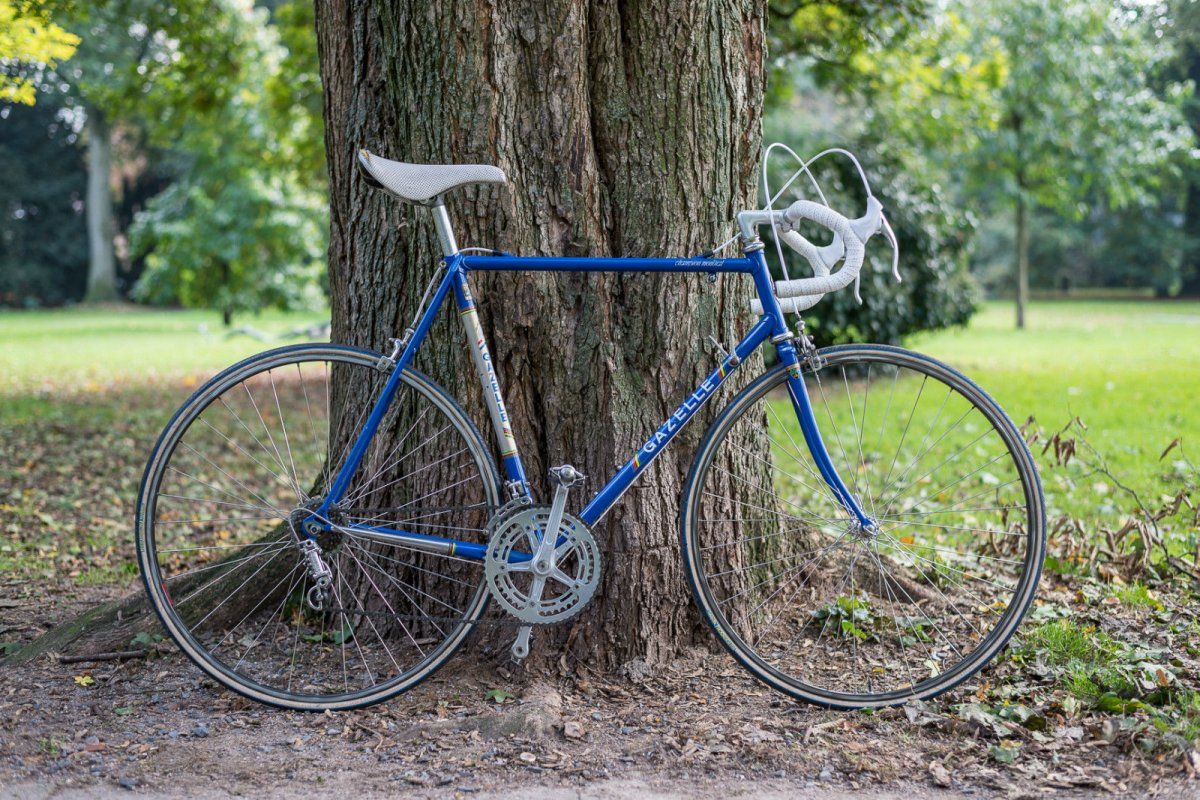 gazelle.JPG