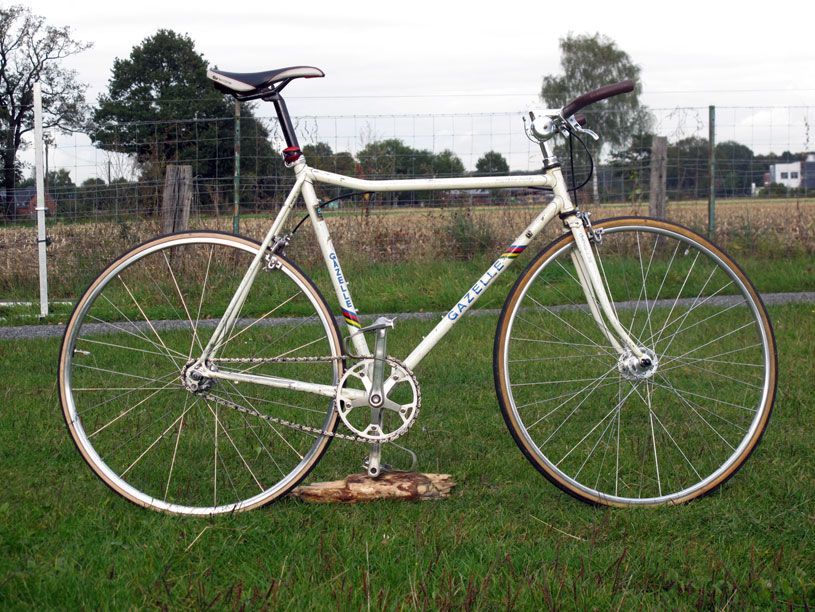 gazelle.jpg