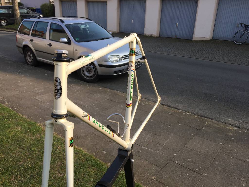 Gazelle_1.jpeg