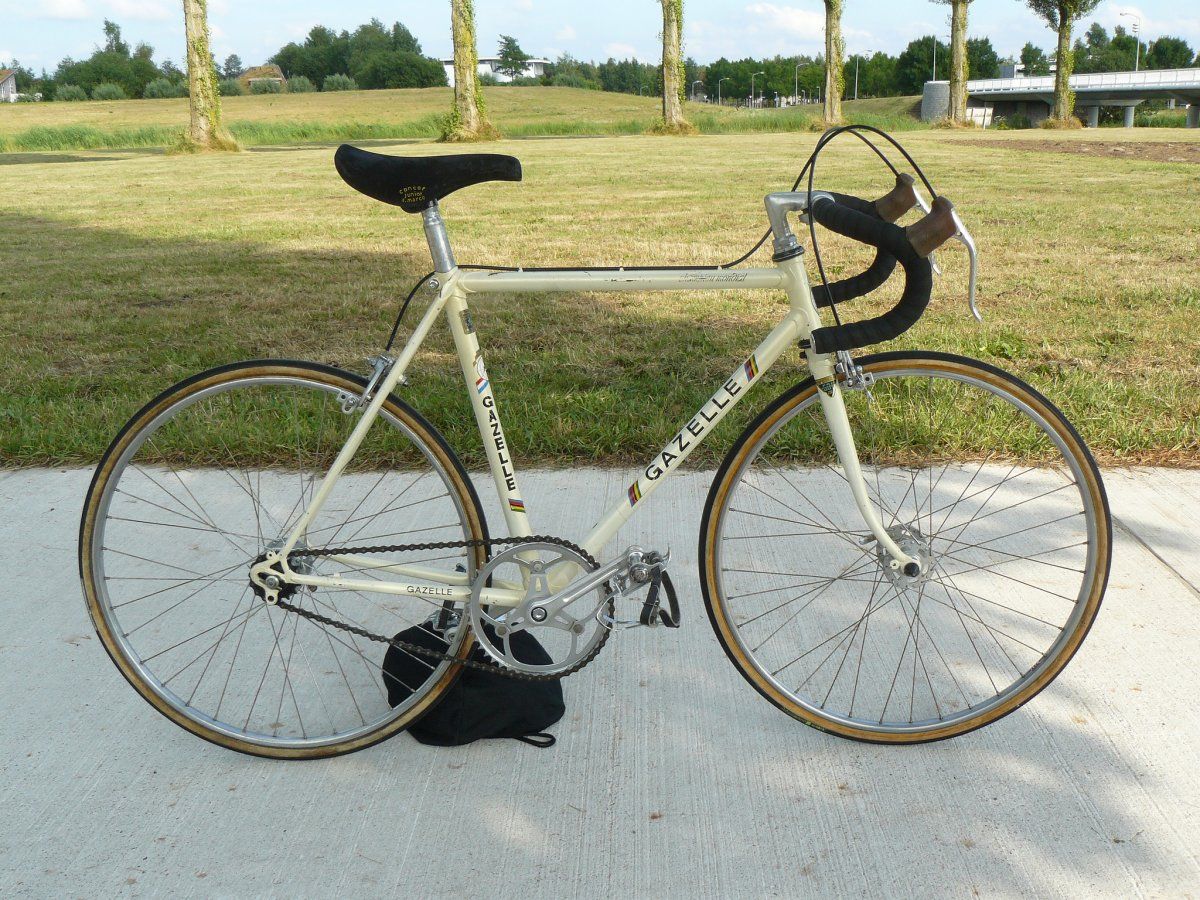 Gazelle_24_inch.jpg