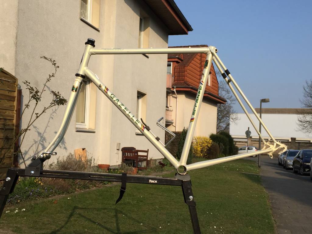 Gazelle_4.jpeg