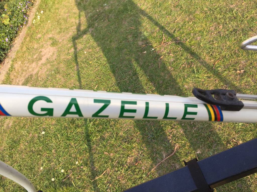 Gazelle_5.jpeg