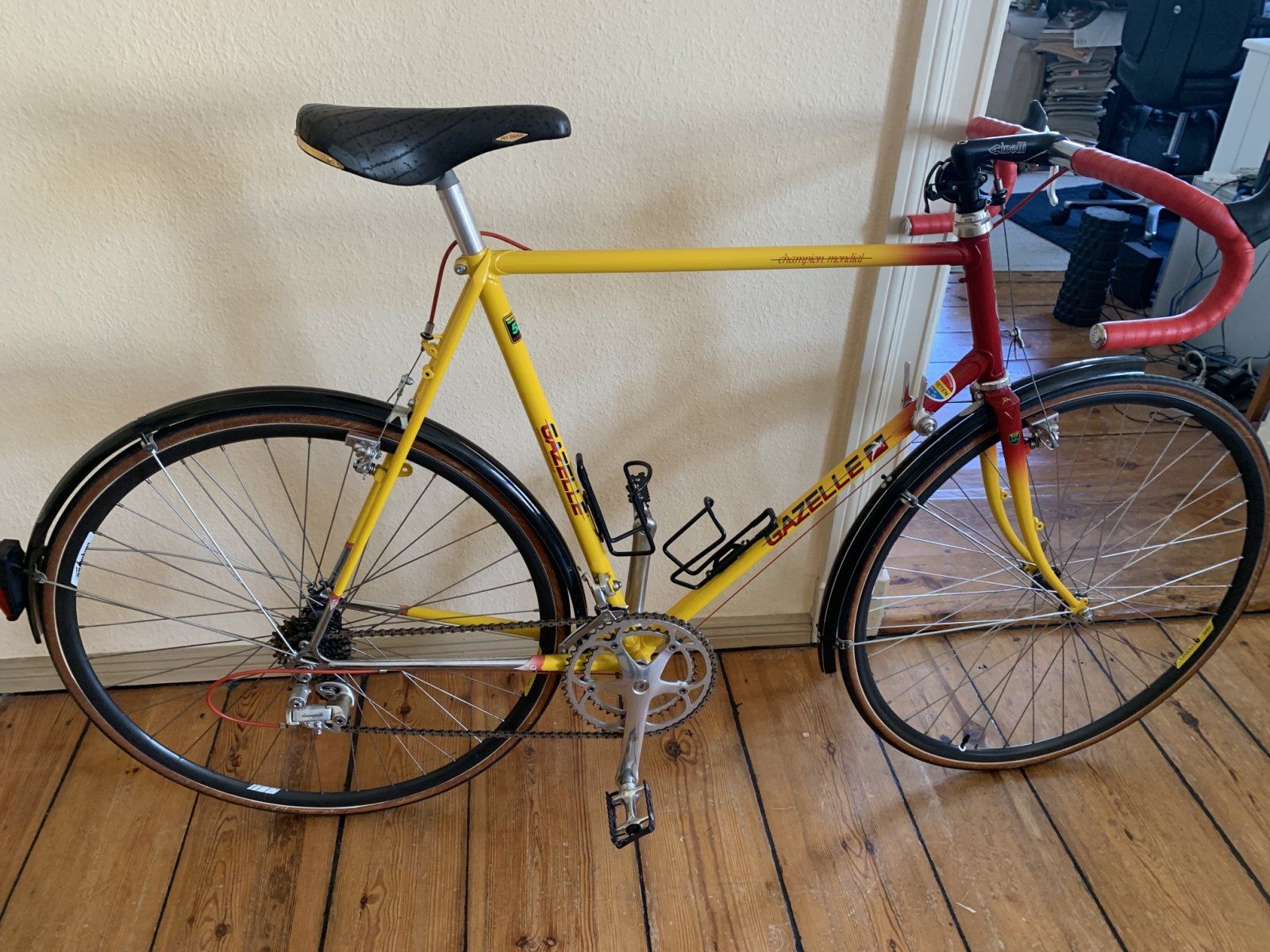 GazelleCMRandonneur62_1987.jpg