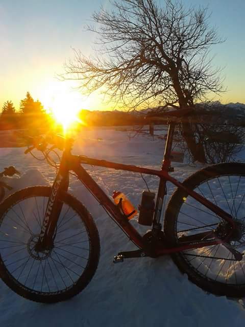 GB Sonne.jpg
