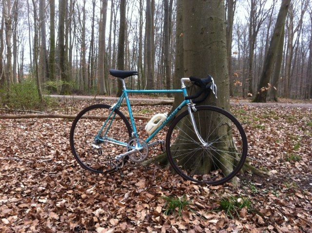 gelting7.JPG