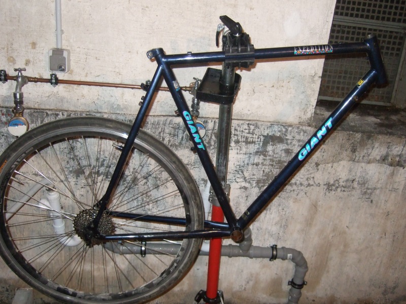 giantexpedition7486_2faedw.jpg