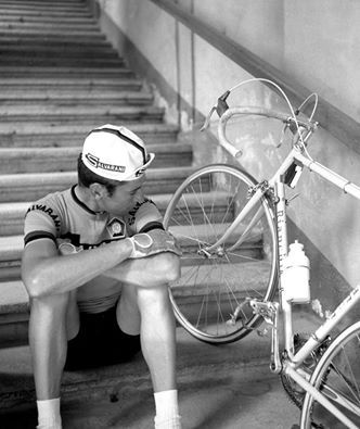 Gimondi-Salvarani.jpg