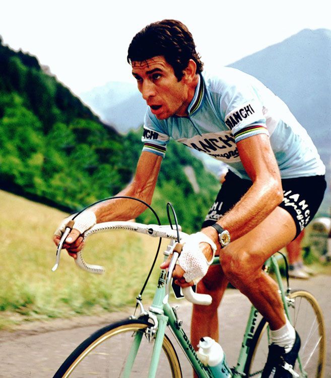 Gimondi_1.jpg