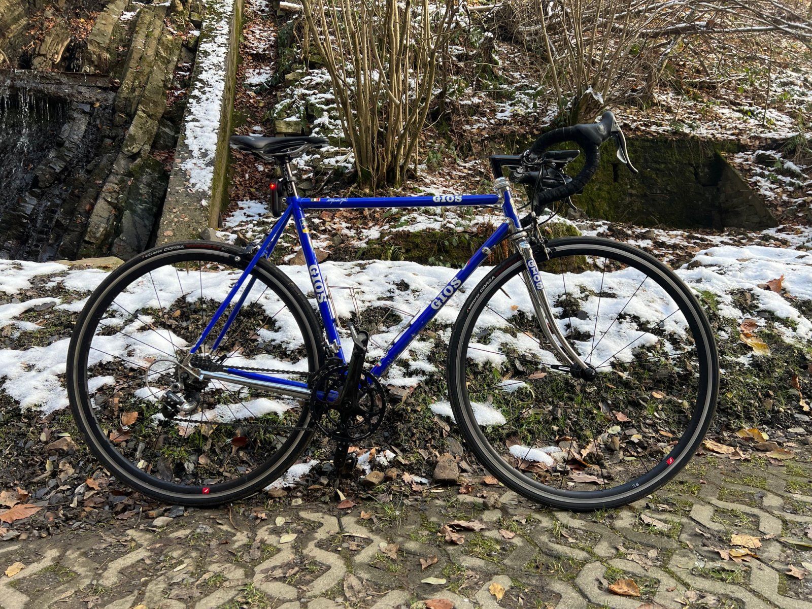 gios.jpg