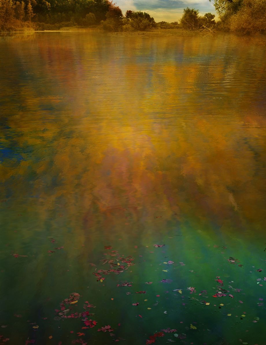 Giovanni Castell - From Monet’s Garden series, 2015  Photography, C-Print on Diasec Face 2.jpg