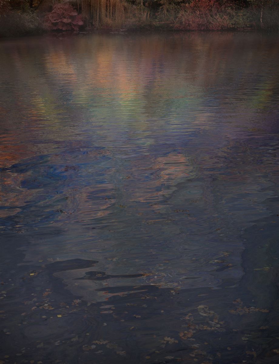 Giovanni Castell - From Monet’s Garden series, 2015  Photography, C-Print on Diasec Face 3.jpg
