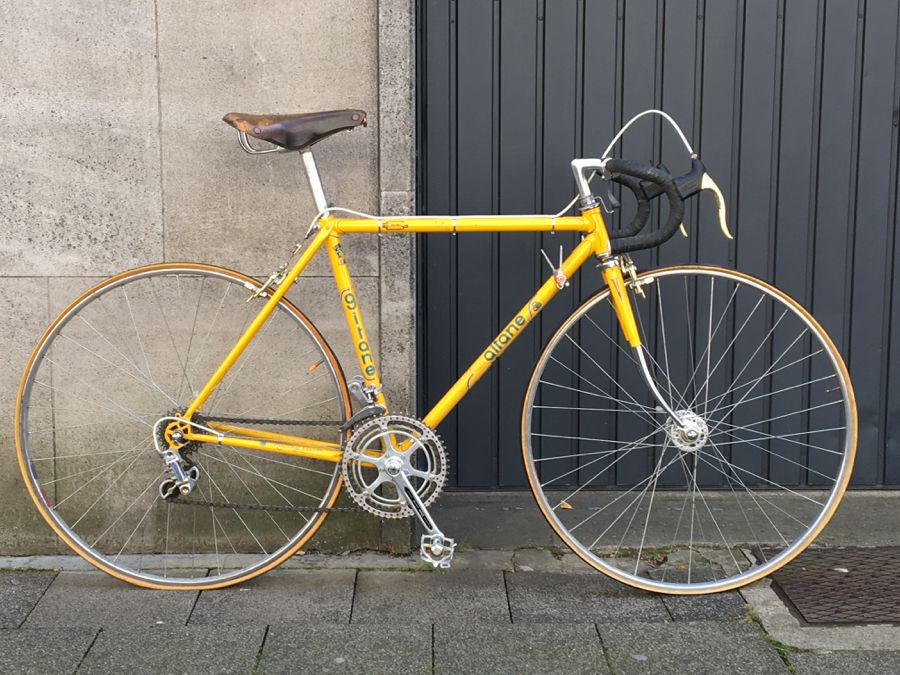GITANE_IMG_4802.jpg