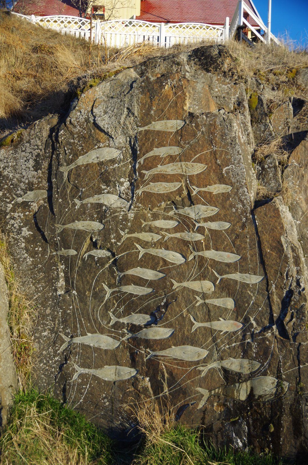 GL-Qaqortoq-Relief-01.jpg