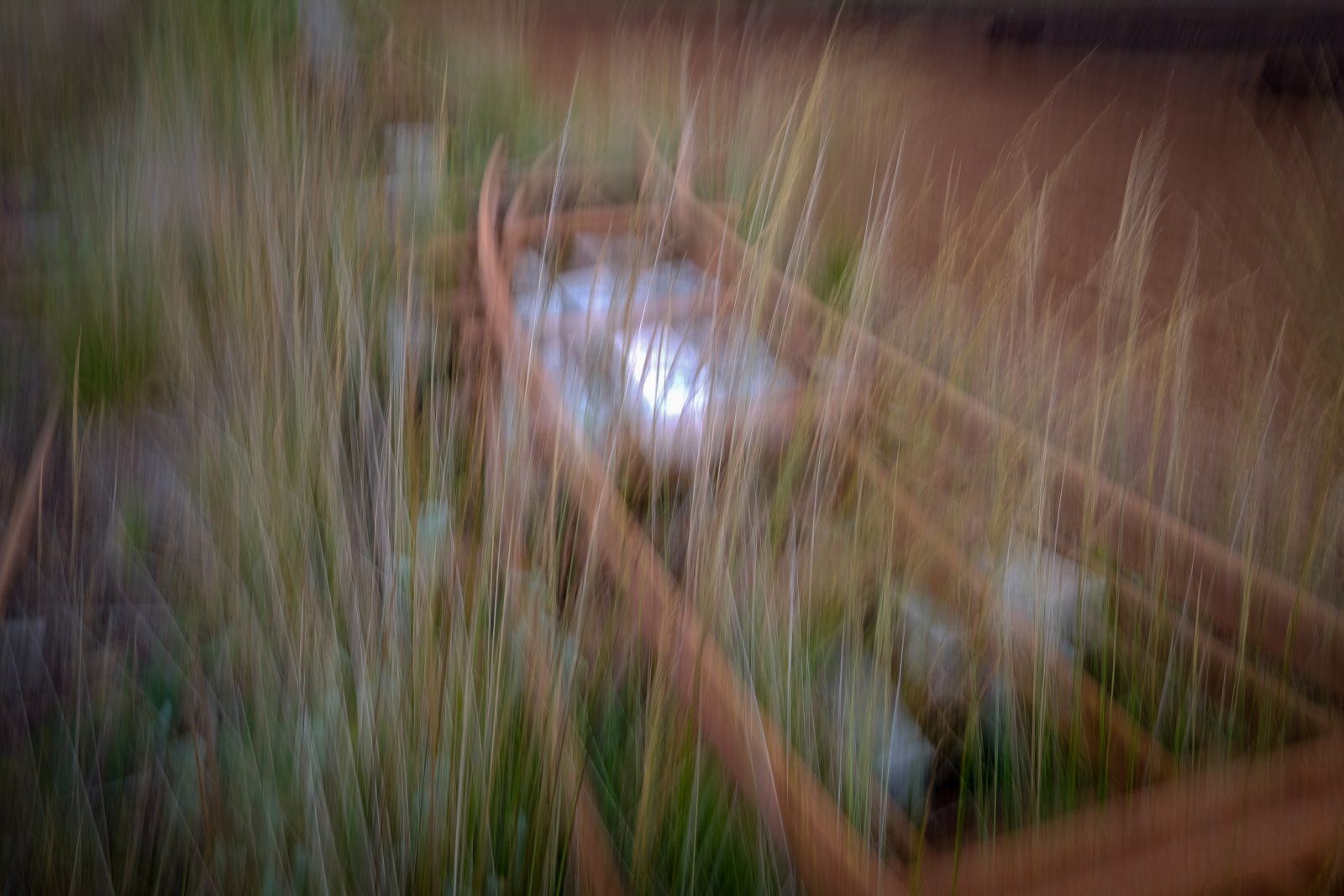 Gleise_Moor_ICM.jpg