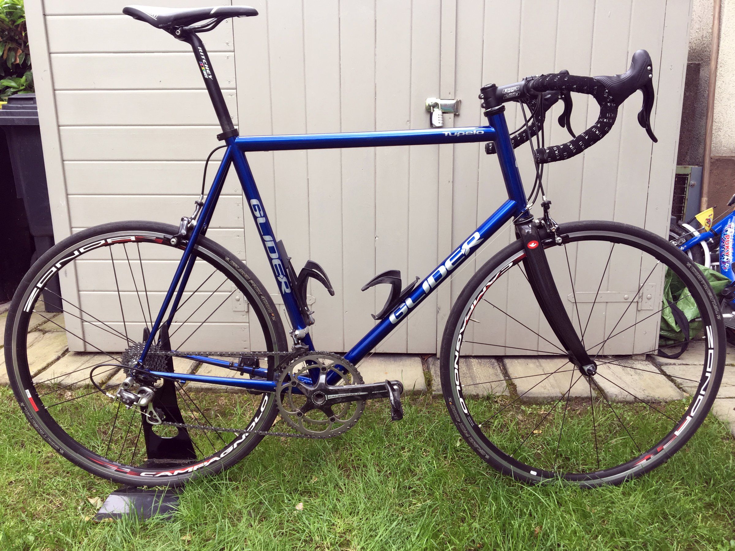 glider-tupelo (3).JPG