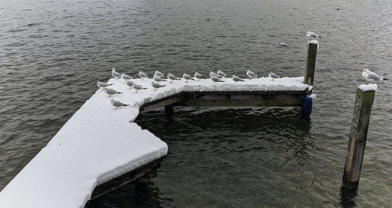 Gmunden (18).jpg