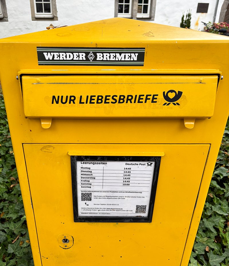 Golden.4.jpg