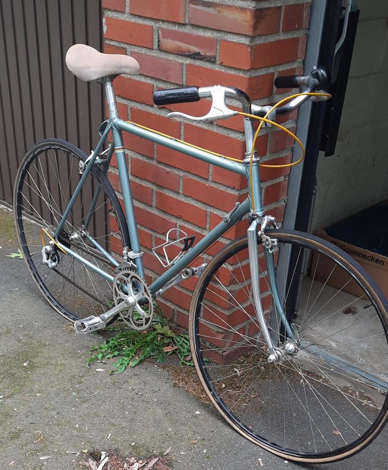 Golden Arrow.jpeg