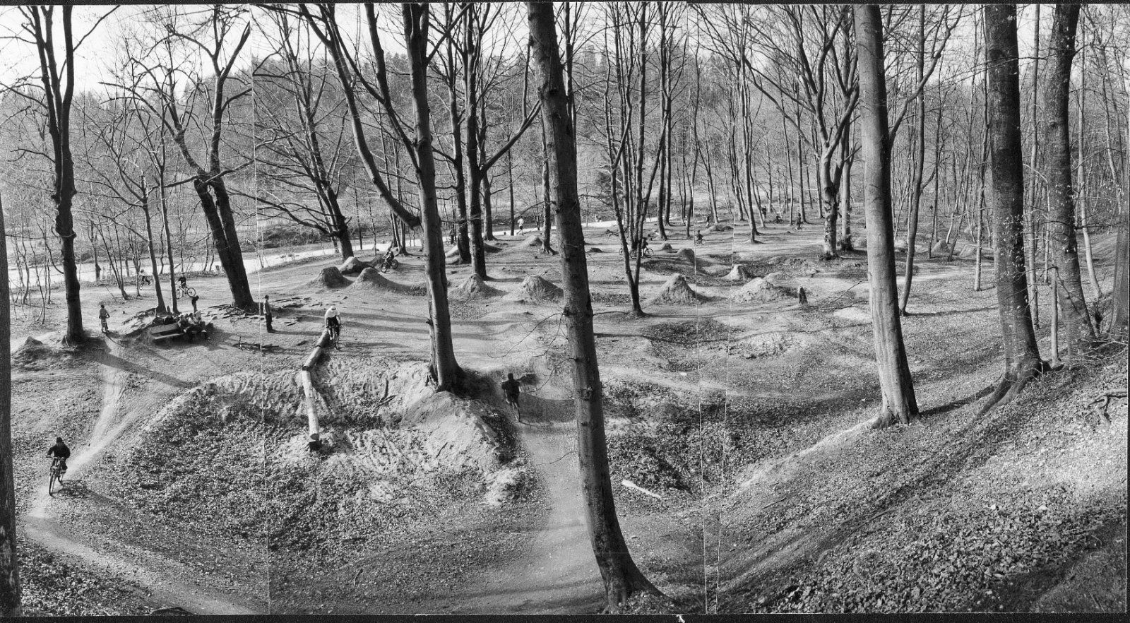 grünwald parcours.jpg