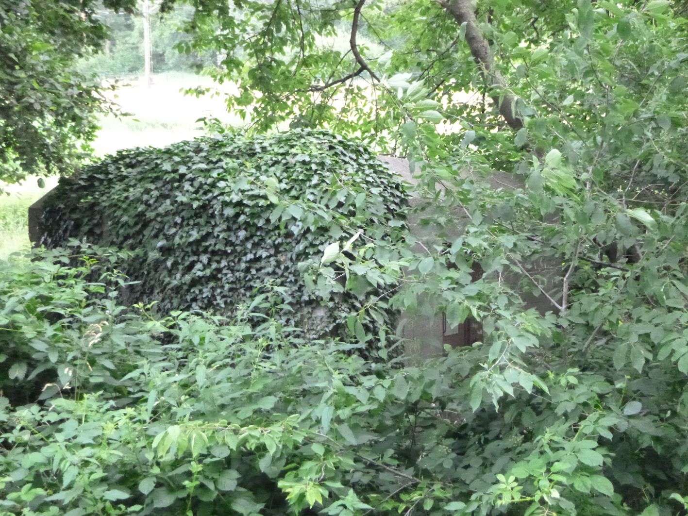 Griendtsveen_Bunker.JPG