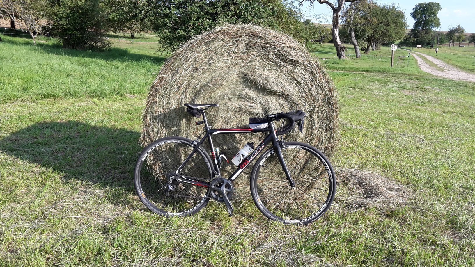 grummetballen.jpg