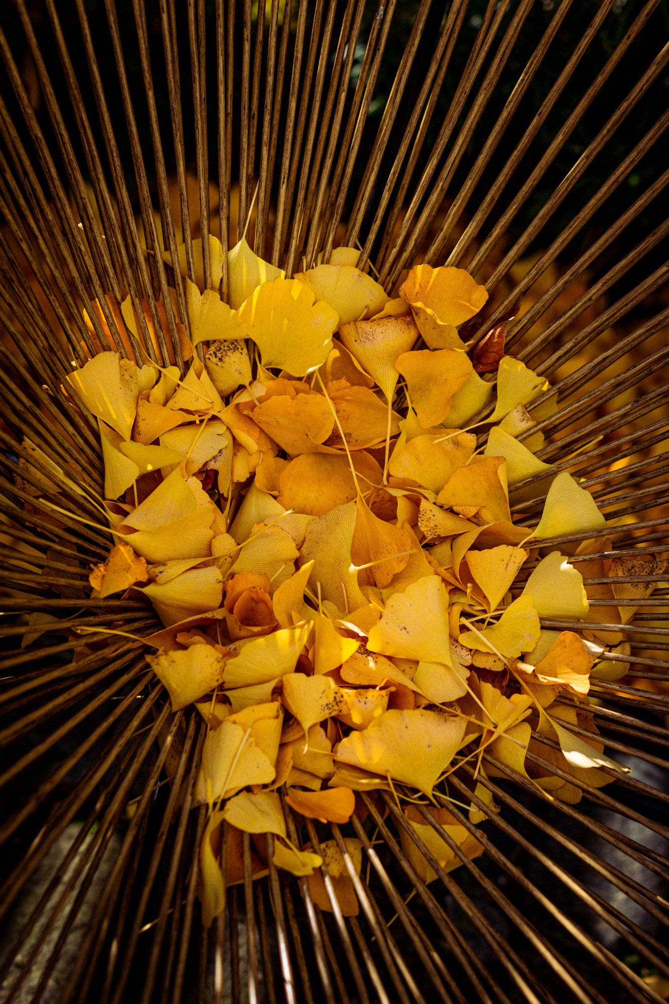 GU2A3940.jpg