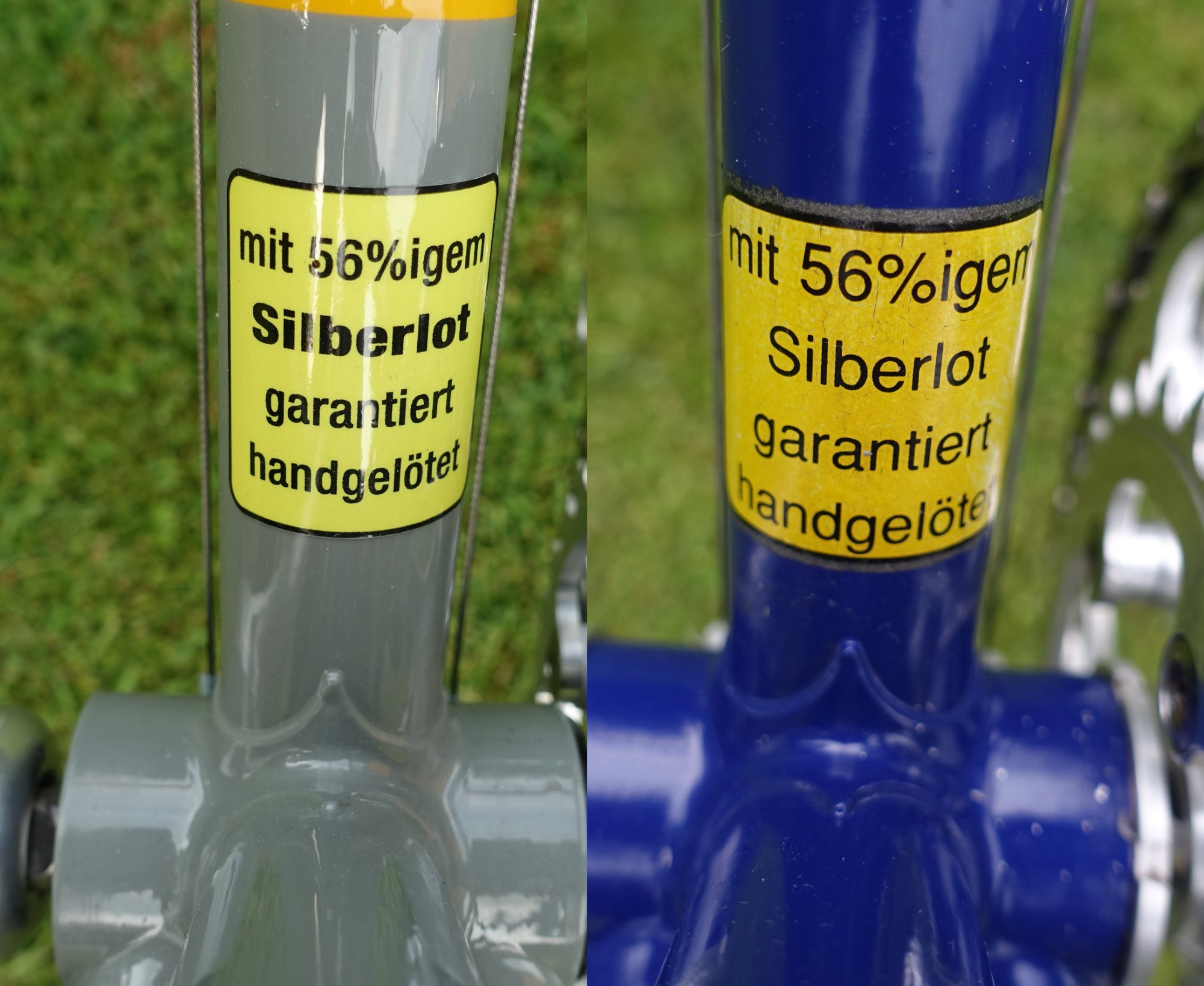 GuylaineBeide01.jpg