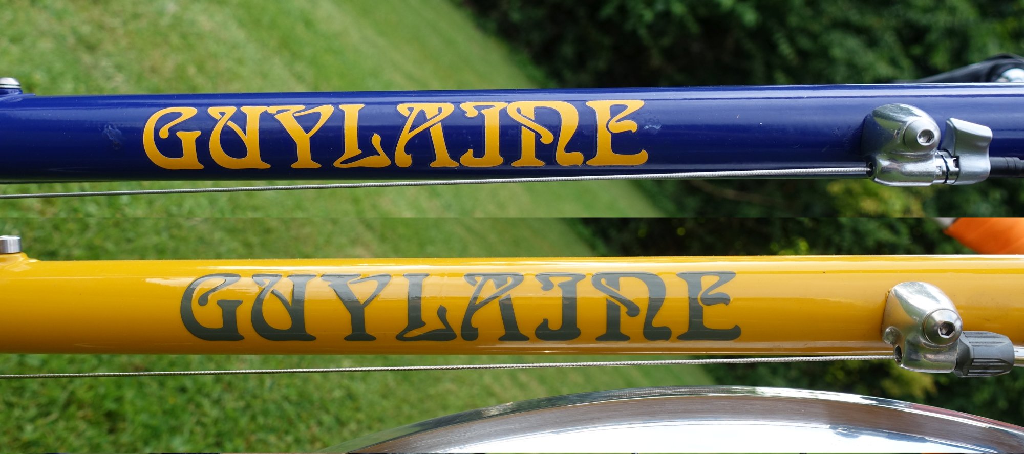 GuylaineBeide02.jpg