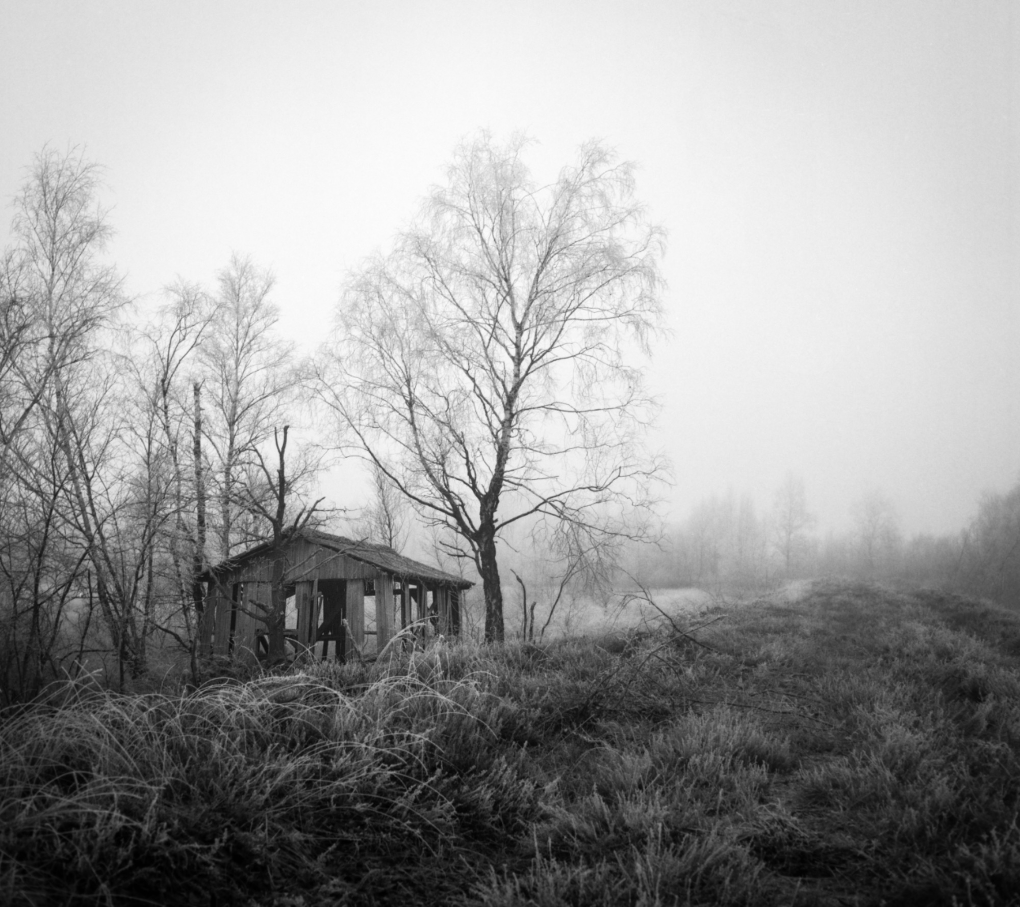 Hütte_im_Moor_mit_Nebel_(aufgehellt).jpg