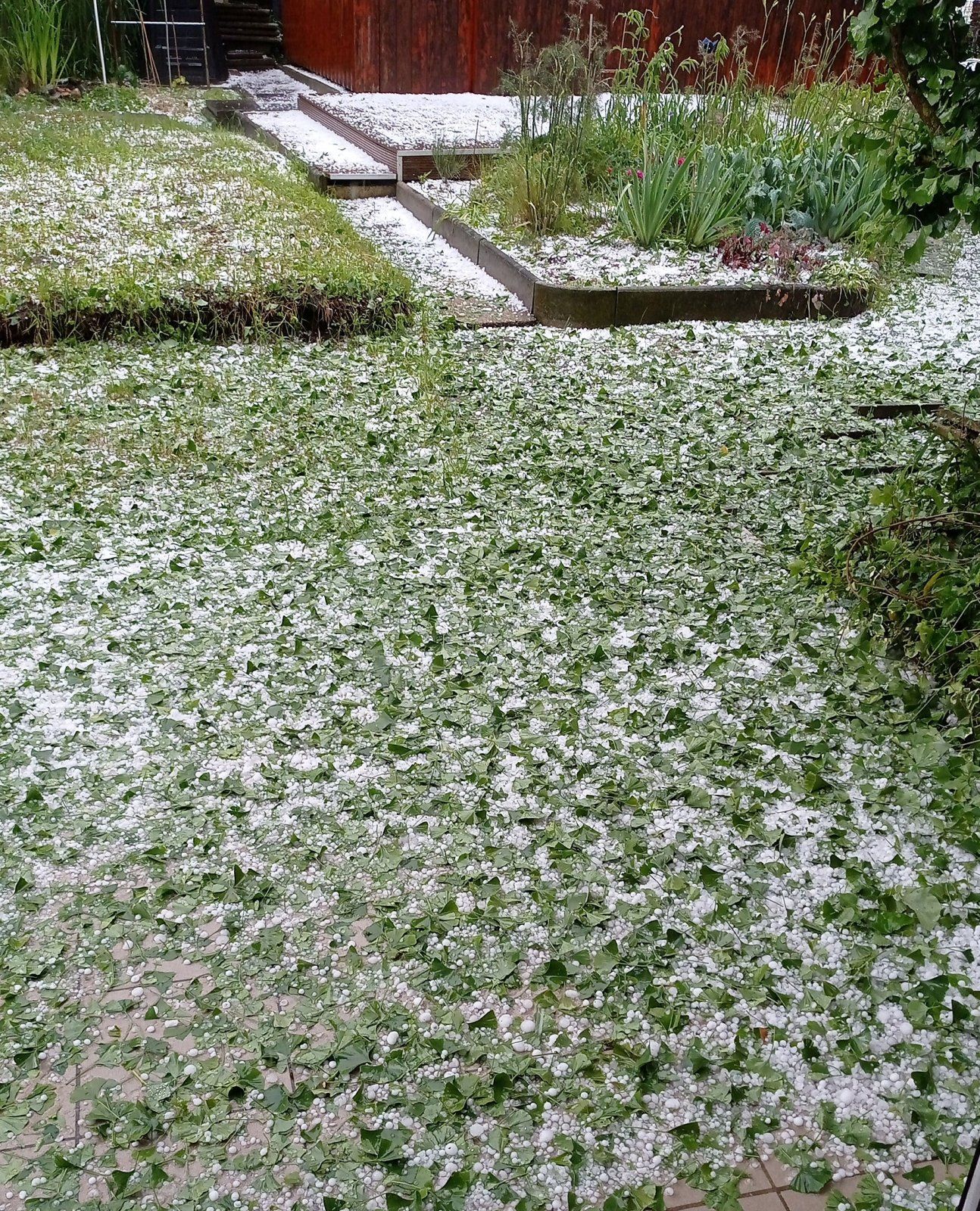 Hagel_A.jpg
