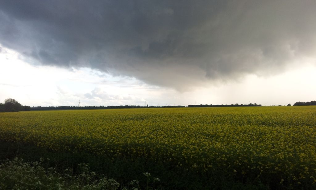 Halde1.jpg