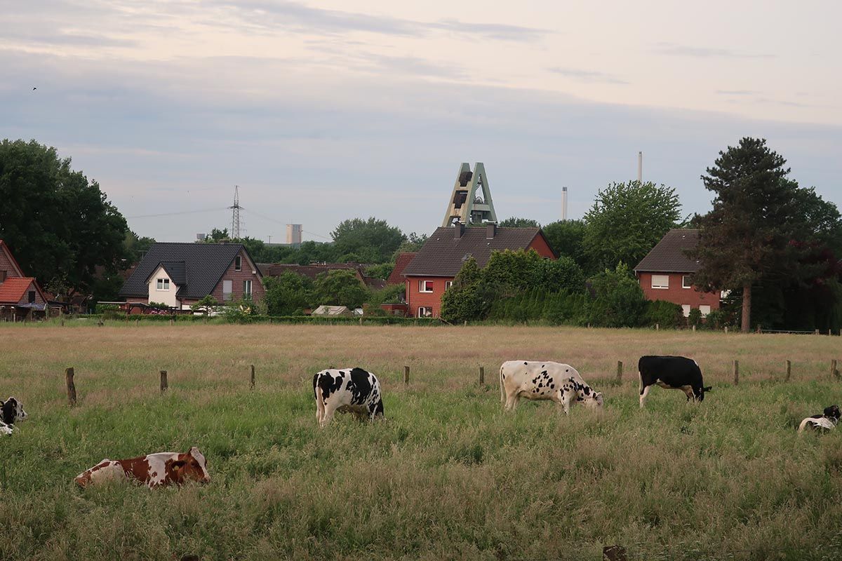 Haltern 1.JPG