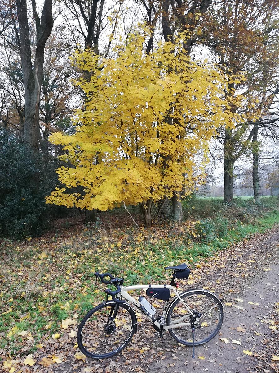 Haltern gross 2.jpg