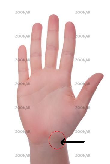 Handinnenfläche.jpg