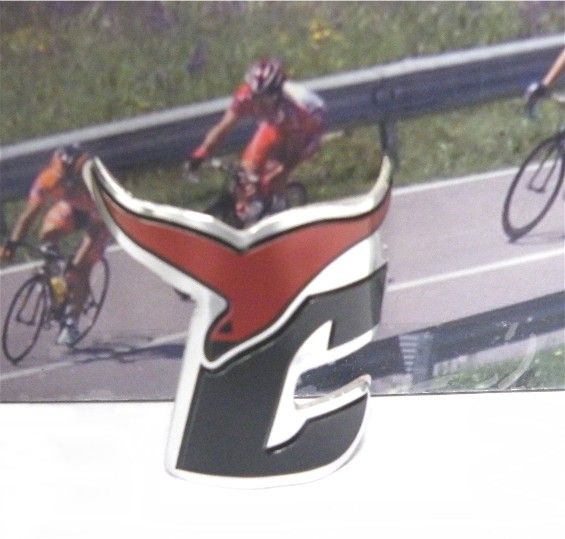 Head Badge 2.jpg